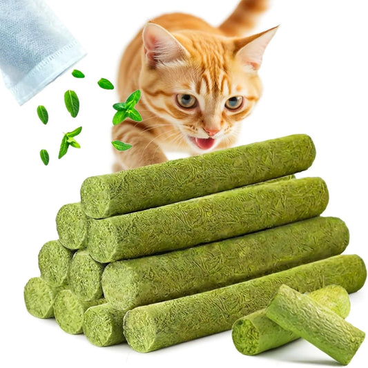 90g (3.17 oz) Cat Treats / Catnip Dental Sticks / Kitten Toys / Catnip Toys | Aids in Hairball Elimination | Freeze-Dried, Chewable Dental Treats | Suitable for Indoor Cats | Lickable & Edible | Supports Digestion & Hairball Control